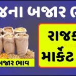 Rajkot APMC Rate Gujarat